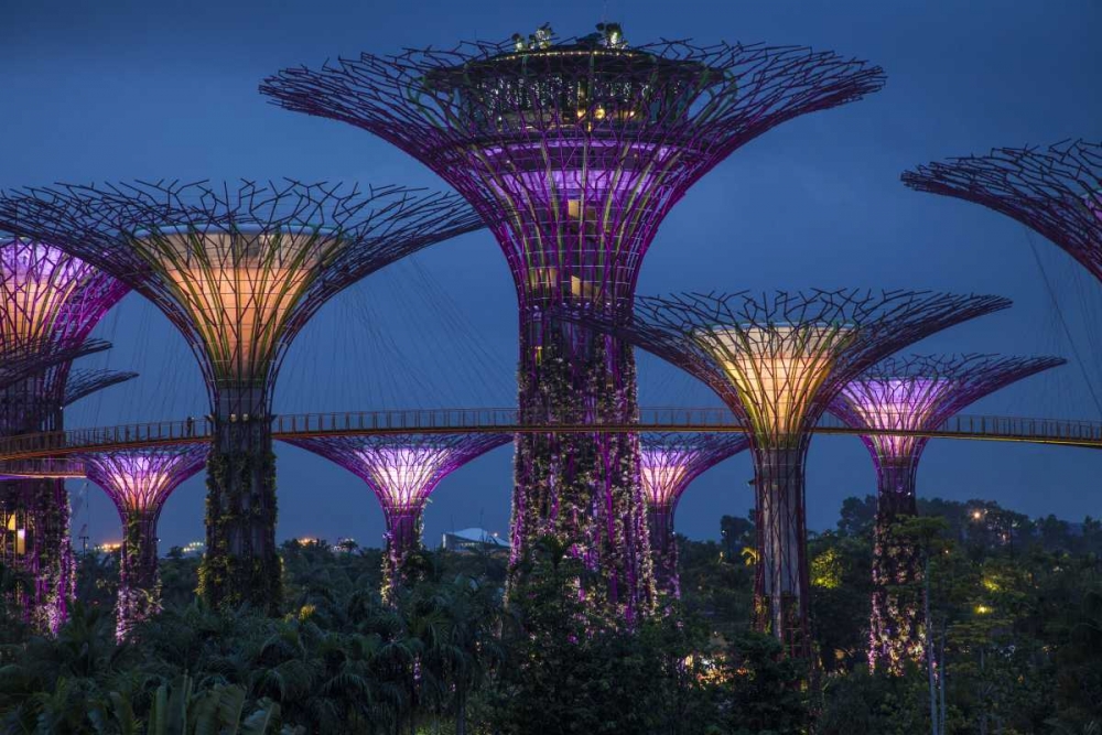 Singapore Garden by the Sea towers at night